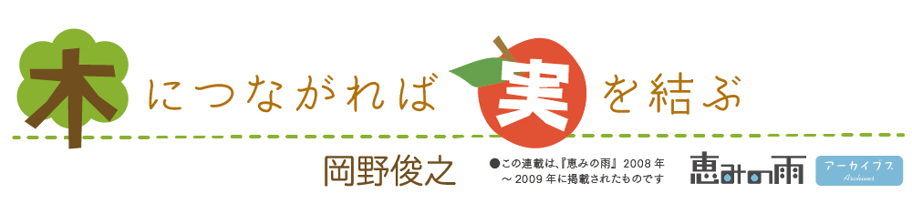 コラム「木につながれば実を結ぶ」