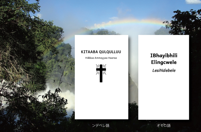 Bibles in Ndebele language and Oromoo Language